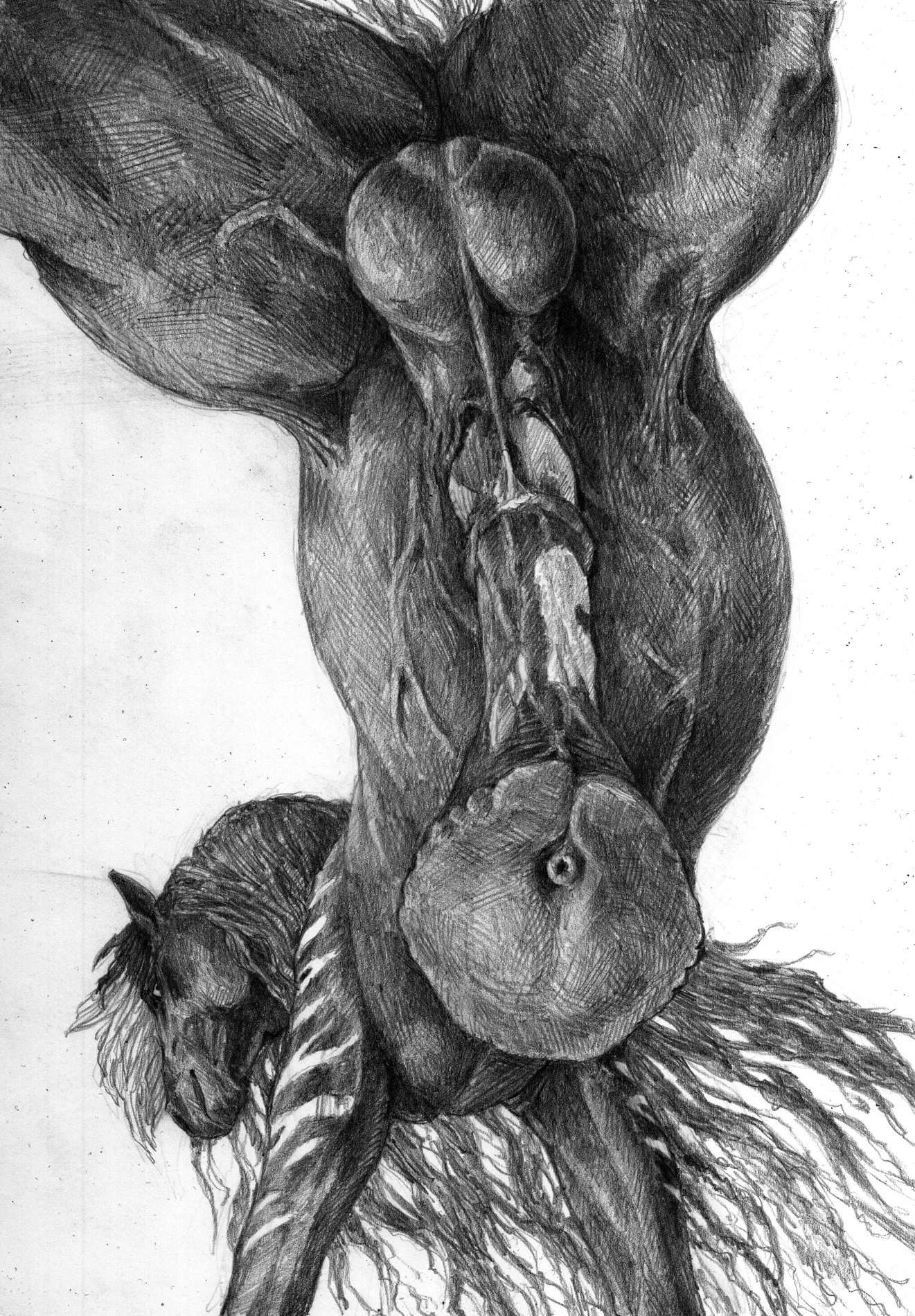 The Beast Below